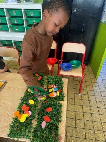 Photo 013