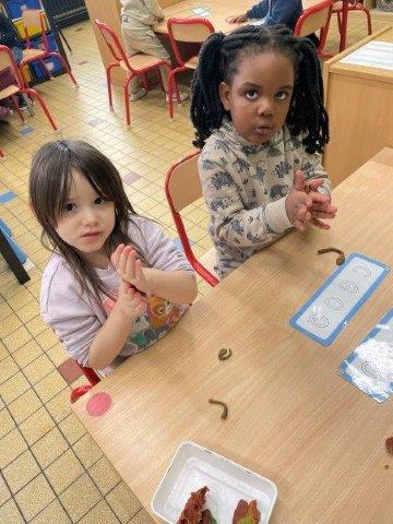Photo 044