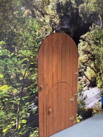 Photo 061