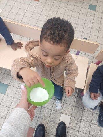 Photo 038