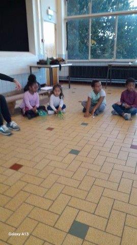 Photo 047