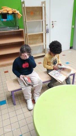 Photo 065