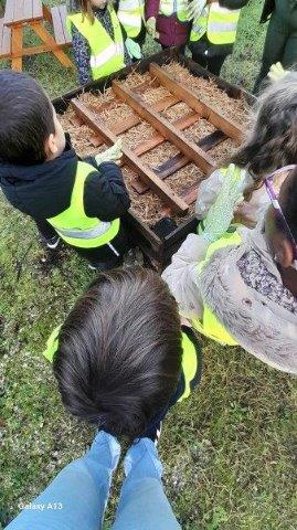 Photo 079