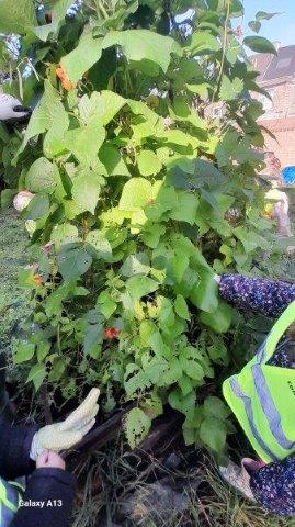 Photo 080