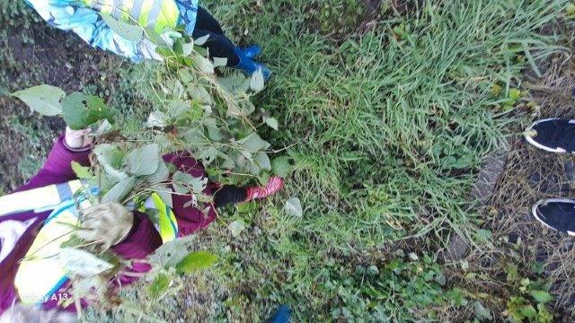 Photo 090
