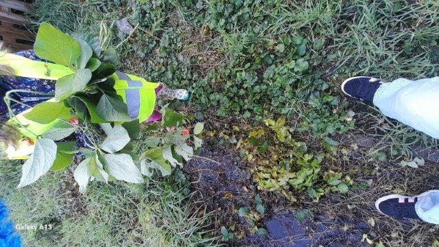 Photo 093