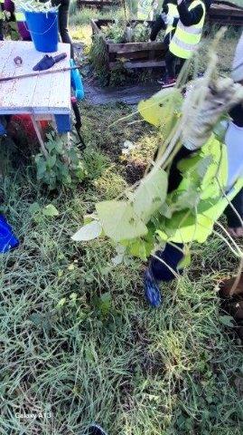 Photo 095