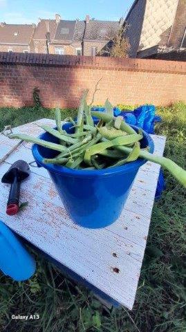 Photo 097