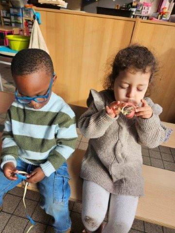Photo 011