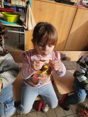 Photo 015
